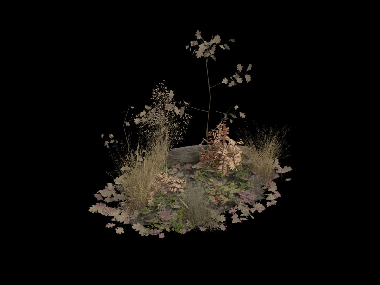 Autumn Undergrowth Patch, realistic 3D model, GLB