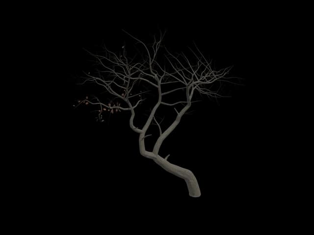 Bare Young Tree, realistic 3D model, GLB