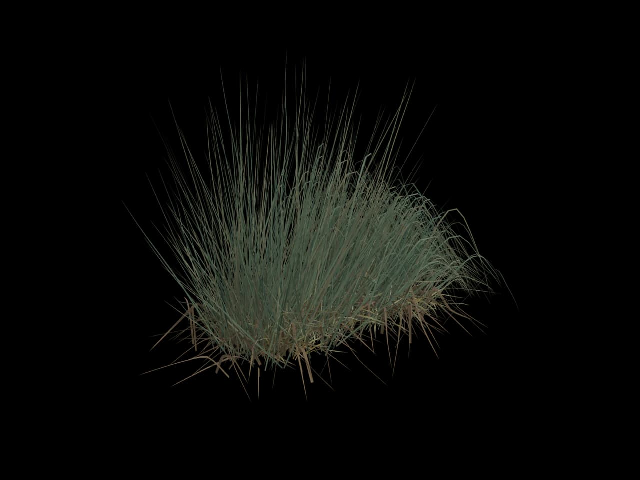 Dense Marsh Grass, realistic 3D model, GLB