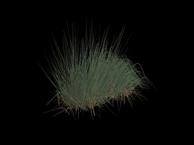 Dense Marsh Grass, realistic 3D model, GLB