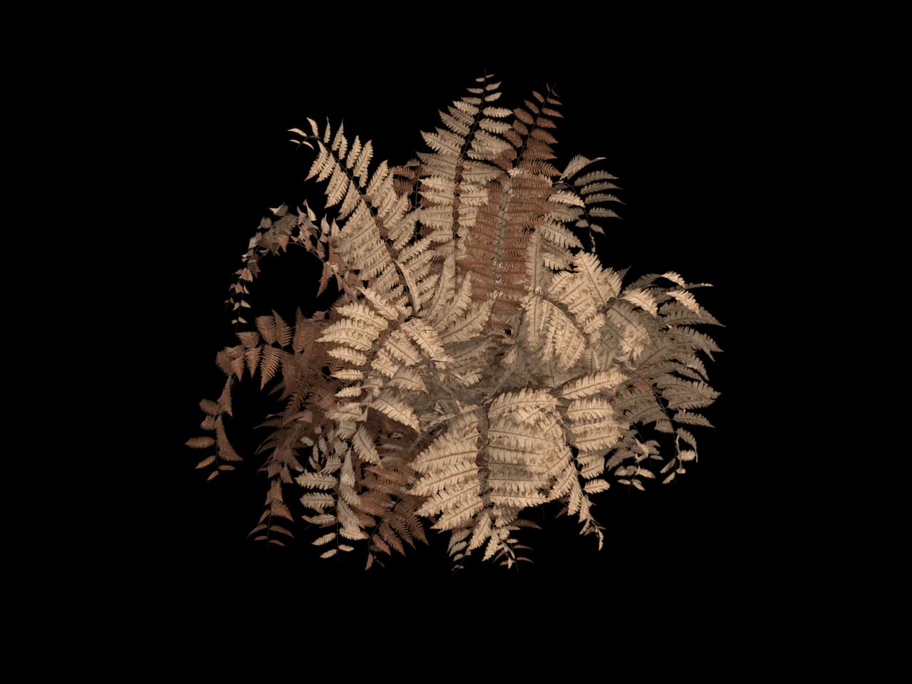 Dry Fern Clump, realistic 3D model, GLB