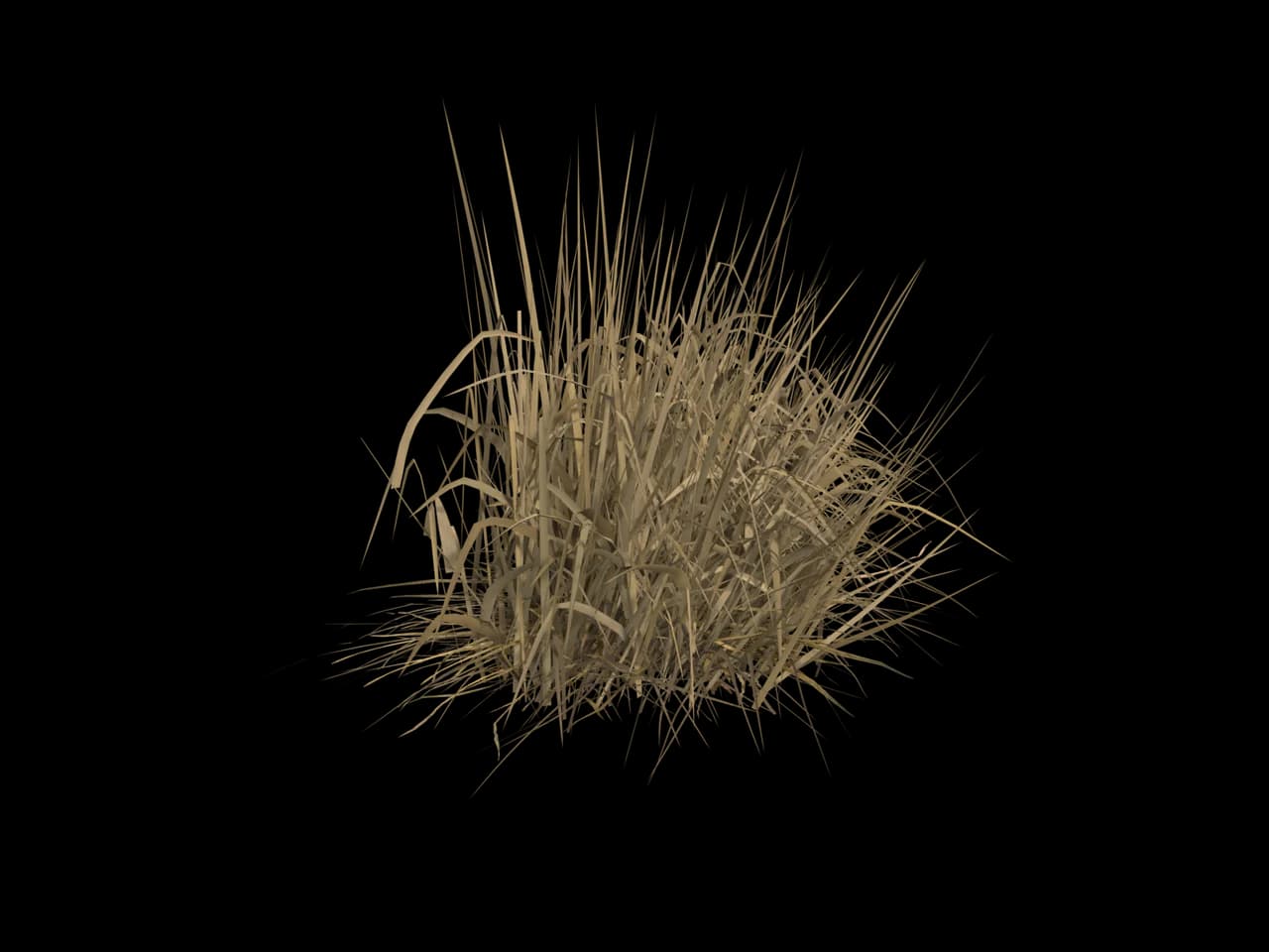 Dry Grass Tuft, realistic 3D model, GLB