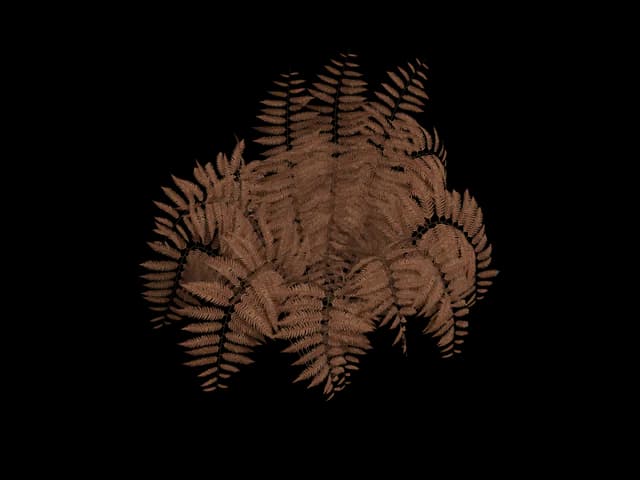 Dry Upright Fern, realistic 3D model, GLB