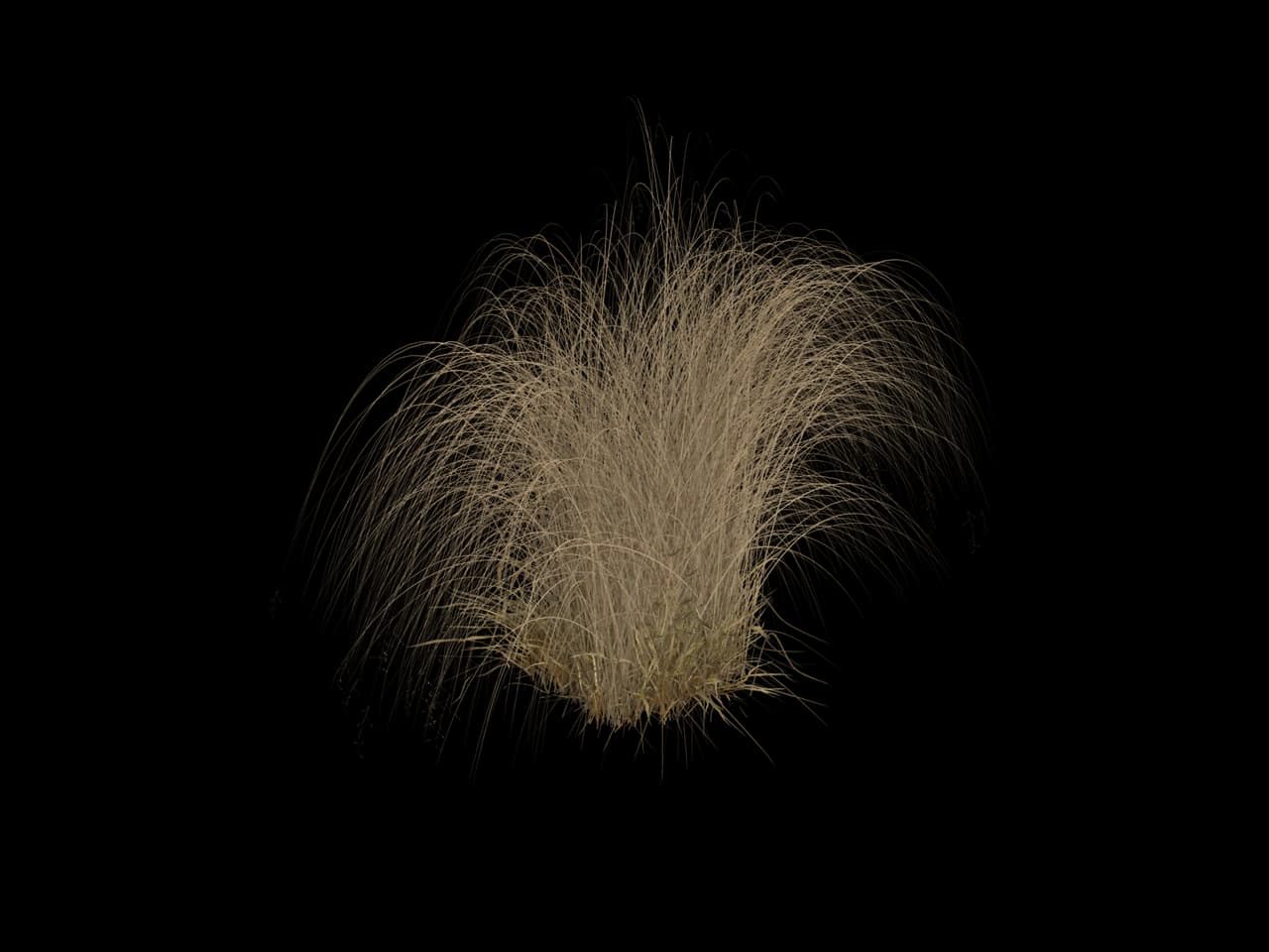 Fine Tall Grass, realistic 3D model, GLB