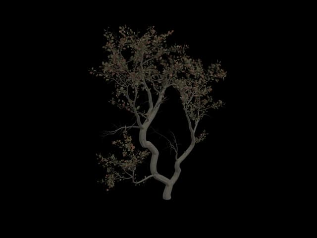Forked Autumn Tree, realistic 3D model, GLB