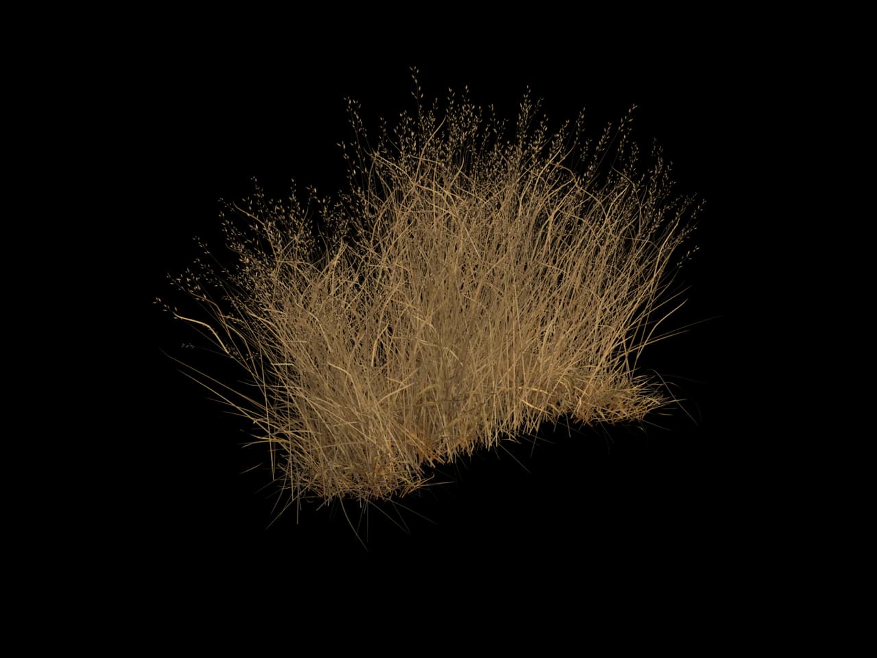 Golden Meadow Grass, realistic 3D model, GLB