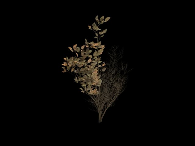 Half-Bare Shrub, realistic 3D model, GLB