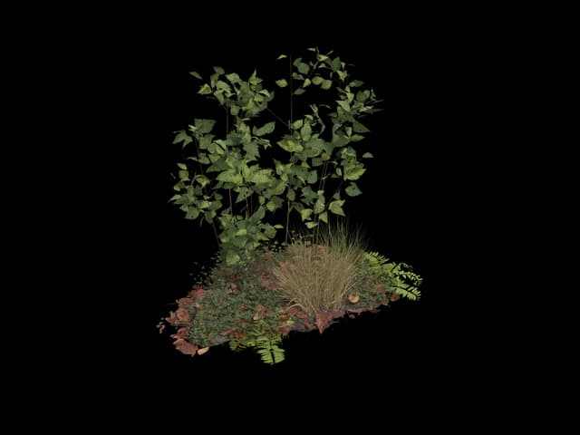 Leafy Undergrowth Patch, realistic 3D model, GLB