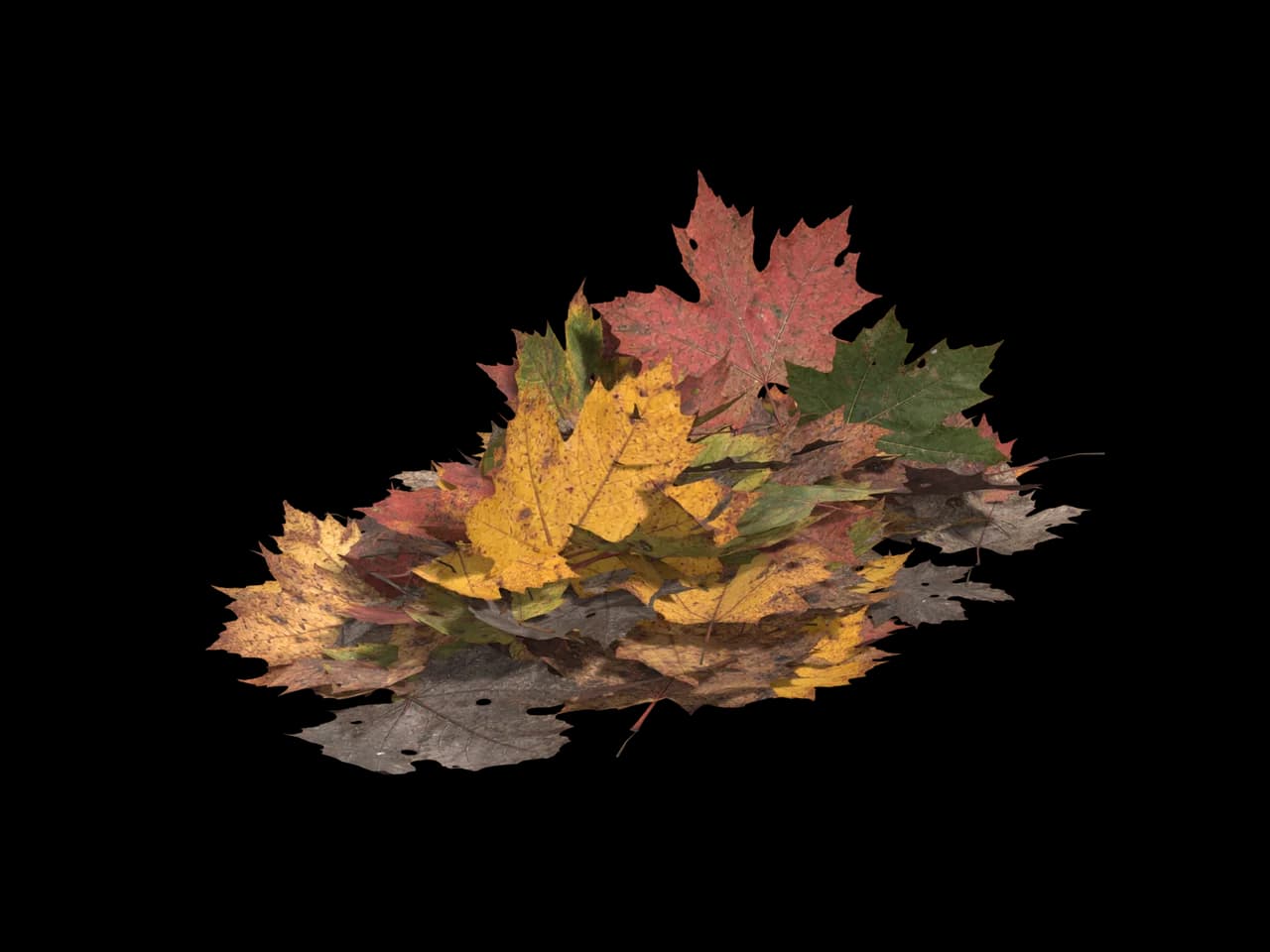 Mixed Leaf Pile, realistic 3D model, GLB
