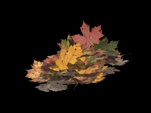 Mixed Leaf Pile, realistic 3D model, GLB