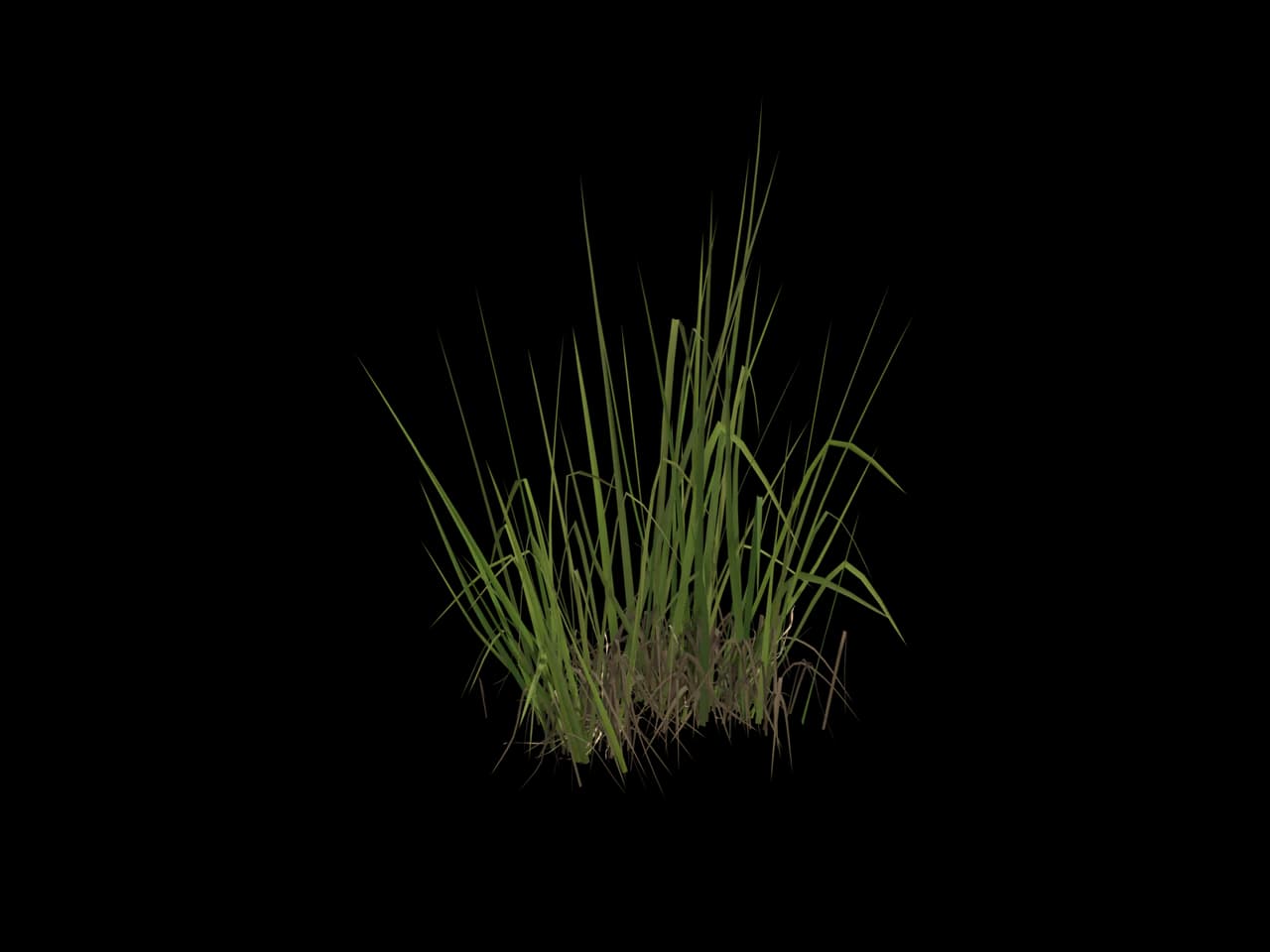 Mixed Marsh Grass, realistic 3D model, GLB