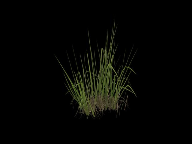 Mixed Marsh Grass, realistic 3D model, GLB