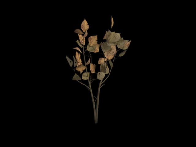 Sparse Autumn Shrub, realistic 3D model, GLB