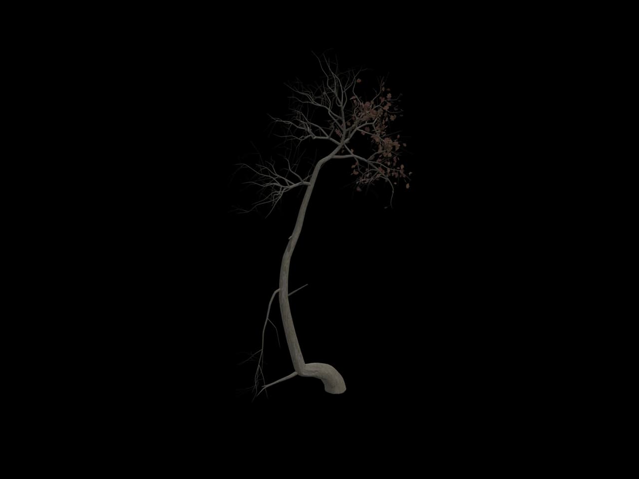 Sparse Sapling, realistic 3D model, GLB