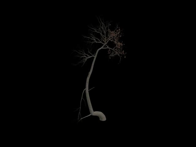 Sparse Sapling, realistic 3D model, GLB