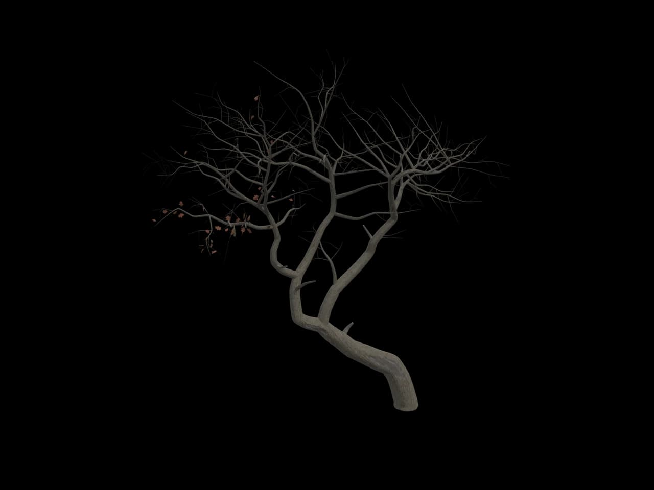 Bare Young Tree, realistic 3D model, GLB
